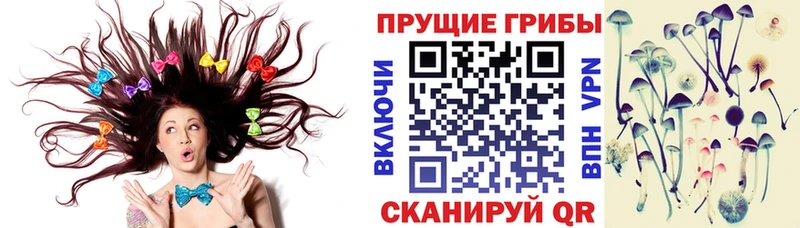Галлюциногенные грибы мицелий  где купить   Боготол 